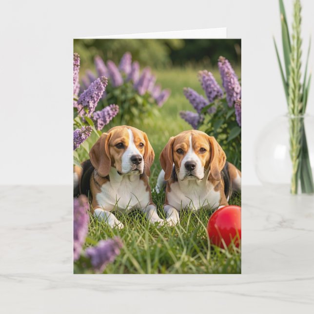 Congrats on Your New Beagles | Congratulations Kort (Framsida)