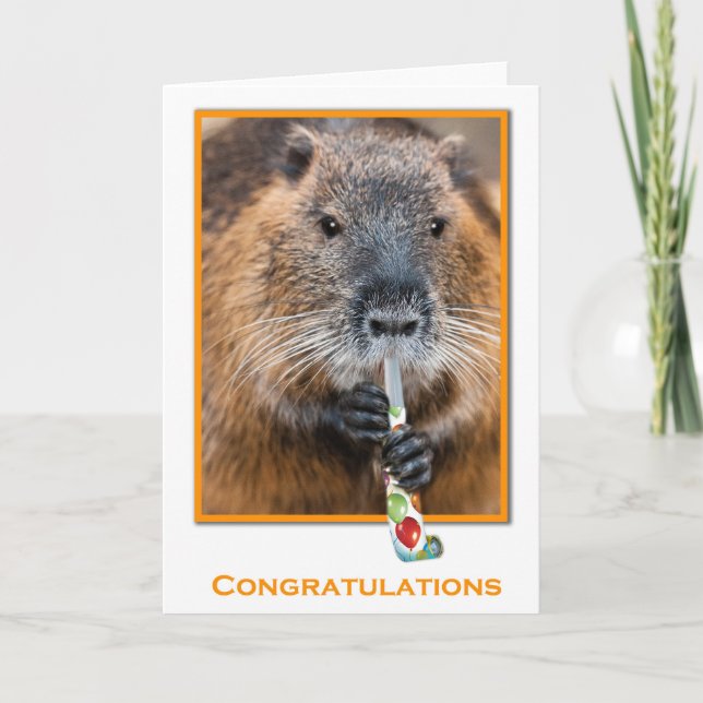 Congratulations card of beaver with flute kort (Framsida)