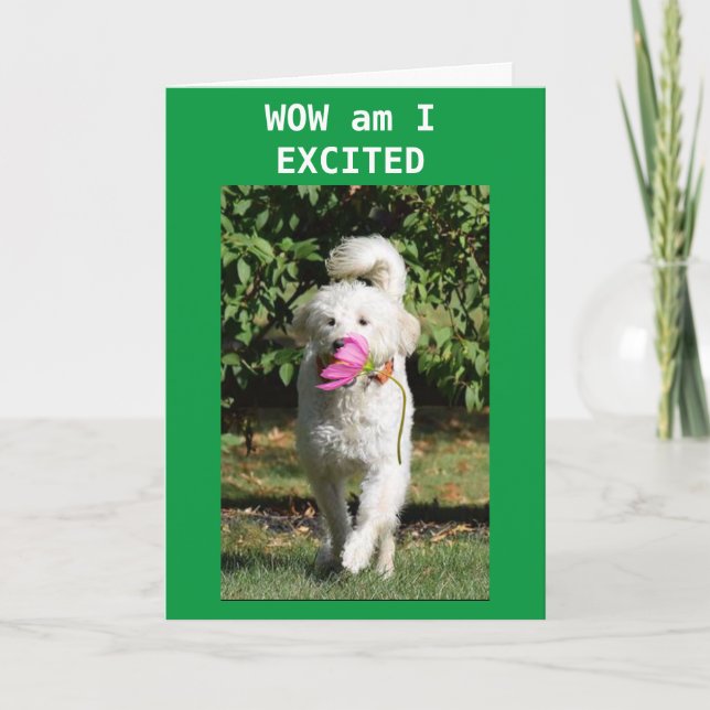 CONGRATULATIONS ON YOUR **NEW HOME** CARD KORT (Framsida)