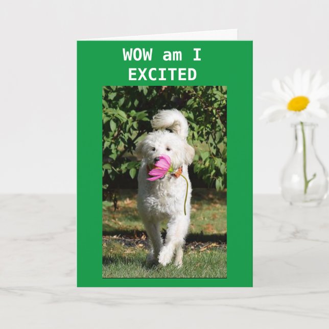 CONGRATULATIONS ON YOUR **PROMOTION** KORT (Liten växt)