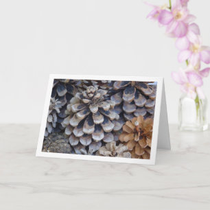 Conifer Cones Kort