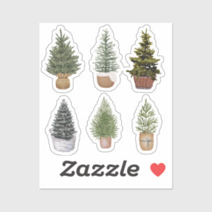 Conifers Klistermärken