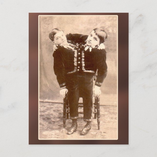 Conjoin Twillingar Vintage Card och vykort (Framsida)