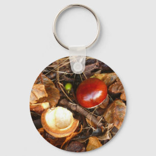 Conker och kärnar ur fodral Keychain Nyckelring