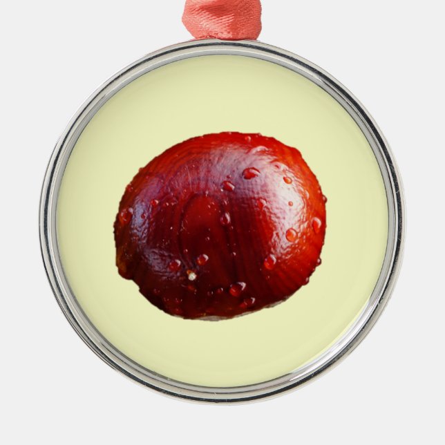 Conkerprydnad Julgransprydnad Metall (Framsidan)