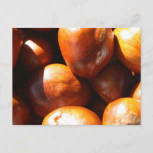 Conkers Vykort