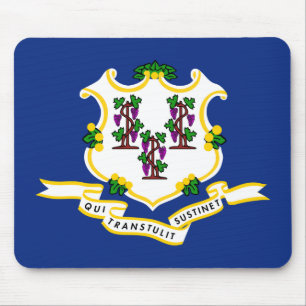 Connecticut Flagga Musmattor