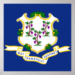 Connecticut flagga poster