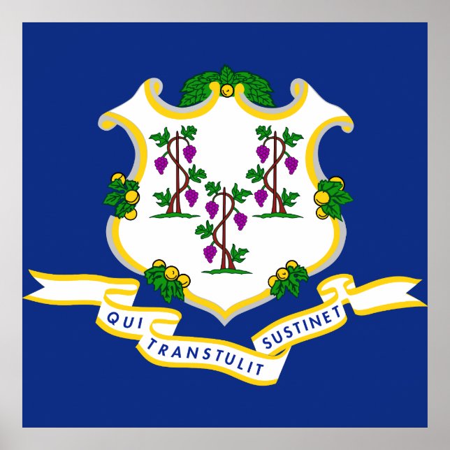 Connecticut flagga poster (Framsidan)