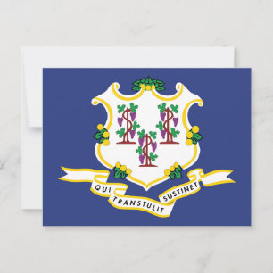 Connecticut Flagga Souvenir Nutmeg State Sköld Vykort