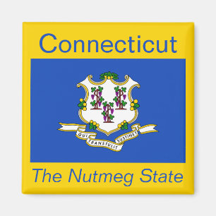 Connecticut flaggamagnet magnet