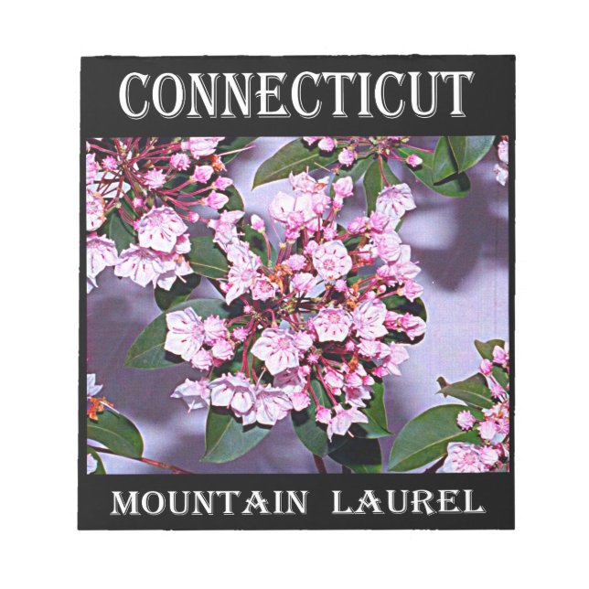 Connecticut Mountain Laurel Anteckningsblock (Framsida)