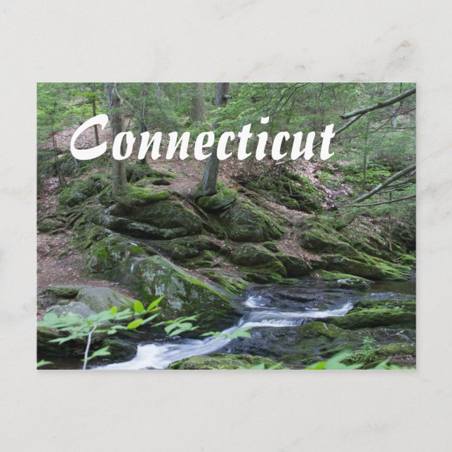 Connecticut Postcards - New England Scenery Vykort (Framsida)