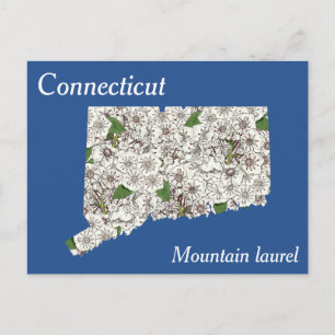 Connecticut State Flower Collage Karta Vykort