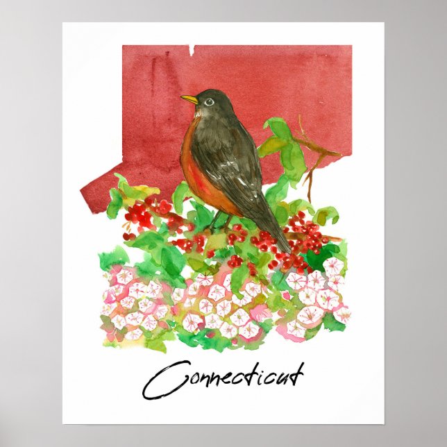 Connecticut State Robin Bird Röda Akvarell  Poster (Framsidan)