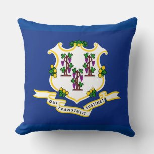 Connecticut Statlig flagga Kudde