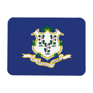 Connecticut Statlig flagga Magnet