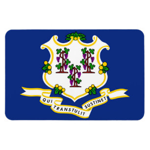 Connecticut Statlig flagga Magnet