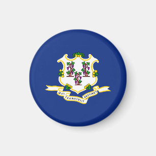 Connecticut Statlig flagga Magnet