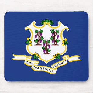 Connecticut Statlig flagga Musmatta