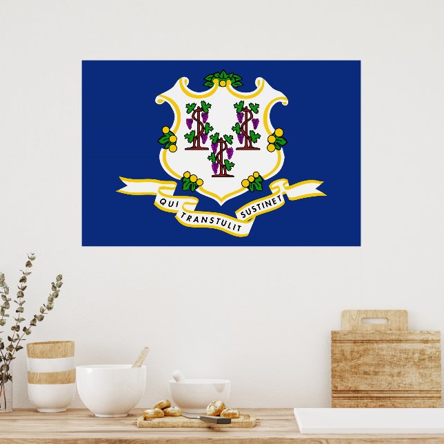 Connecticut Statlig flagga Poster (Kök)
