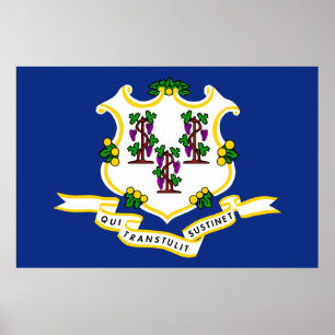 Connecticut Statlig flagga Poster