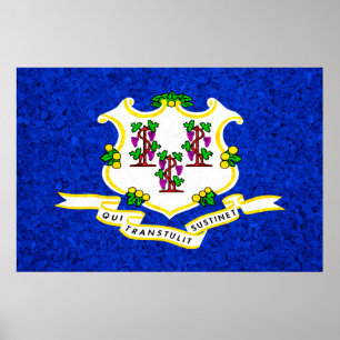 Connecticut Statlig flagga Poster