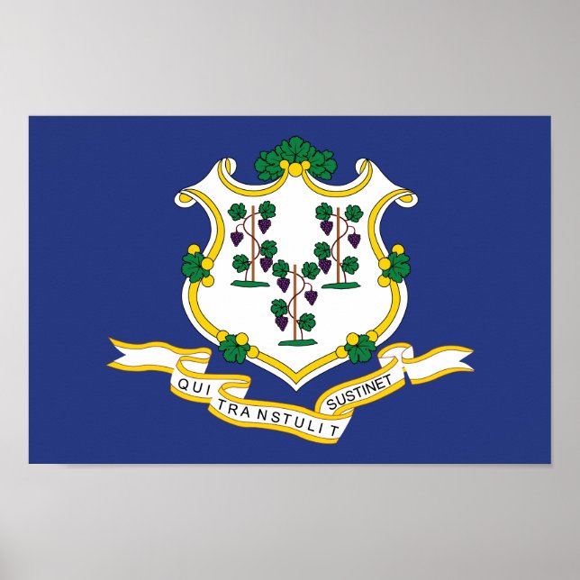 Connecticut Statlig flagga Poster (Framsidan)