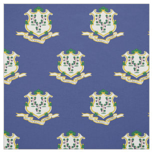 Connecticut Statlig flagga Tyg