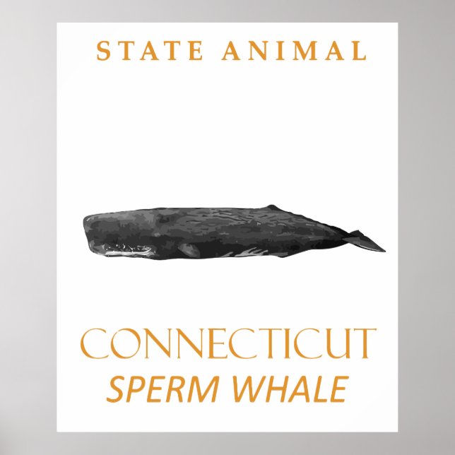 Connecticut Territory Djur Physeter macrocephalu Poster (Framsidan)