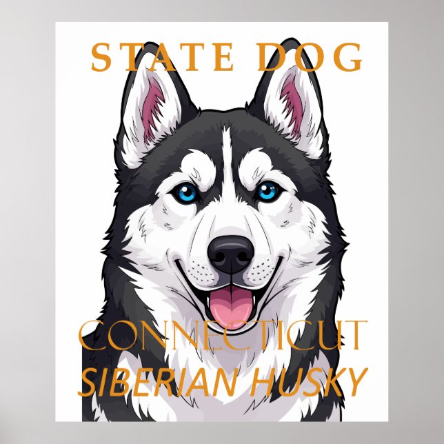 Connecticut Territory Dog Siberian Husky Poster (Framsidan)