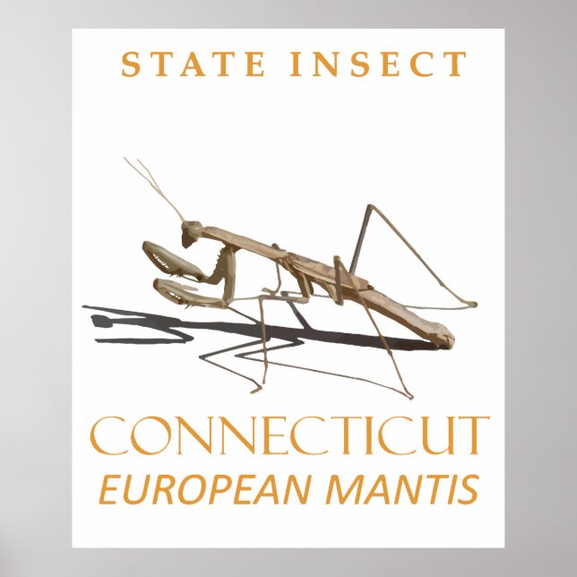 Connecticut Territory Insect Mantis religiosa Poster (Framsidan)