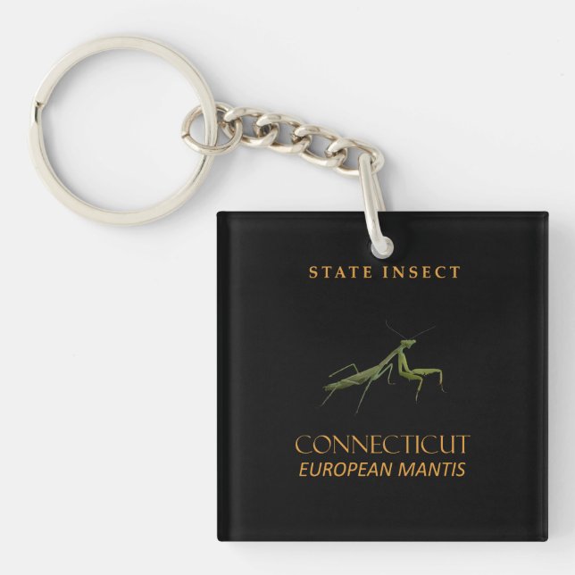 Connecticut Territory Insekt Den Bönsyrsan (Framsidan)