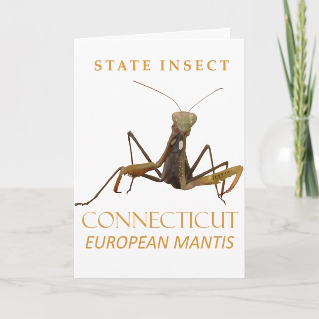 Connecticut Territory Insekt Den Europeiska Mantis Helgkort (Framsida)