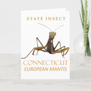 Connecticut Territory Insekt Den Europeiska Mantis Helgkort