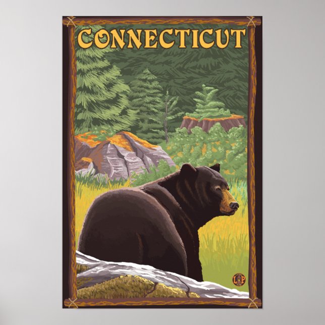 ConnecticutBlack Bear i skogen Poster (Framsidan)