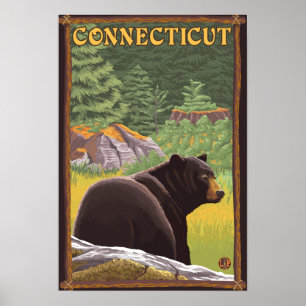 ConnecticutBlack björn i skog Poster