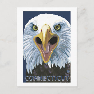 ConnecticutEagle Up Close Vykort