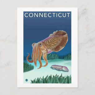 ConnecticutKuttlefish Scene Vykort