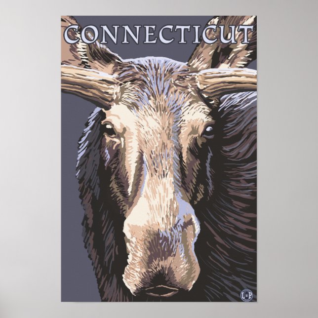ConnecticutMoose Up Close Poster (Framsidan)