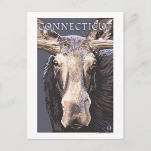 ConnecticutMoose Up Close Vykort