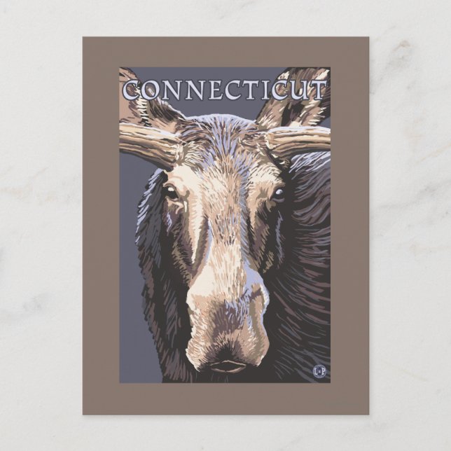 ConnecticutMoose Up Close Vykort (Framsida)