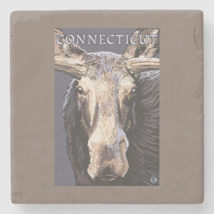 ConnecticutMoose upp slut Stenunderlägg