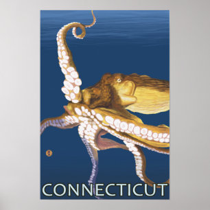 ConnecticutOctopus plats Poster