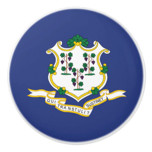 Connecticuts statsflagga knopp