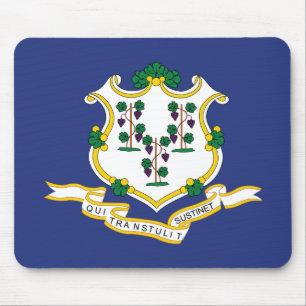 Connecticuts statsflagga musmatta