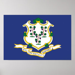 Connecticuts statsflagga poster