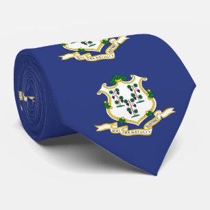 Connecticuts statsflagga slips