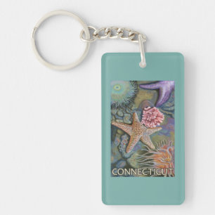 ConnecticutTidepool plats