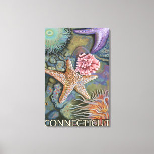 ConnecticutTidepool plats Canvastryck
